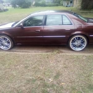 Meet your Posher, Steve